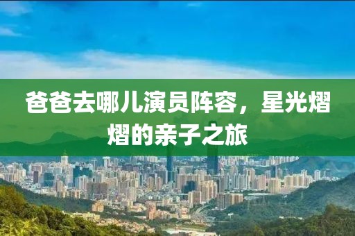 爸爸去哪儿演员阵容，星光熠熠的亲子之旅