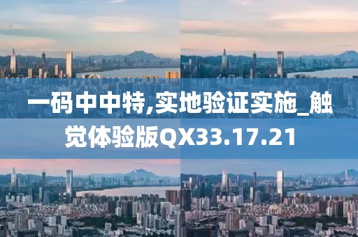 一码中中特,实地验证实施_触觉体验版QX33.17.21