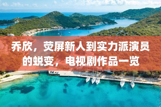 乔欣，荧屏新人到实力派演员的蜕变，电视剧作品一览
