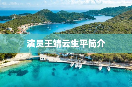 演员王靖云生平简介