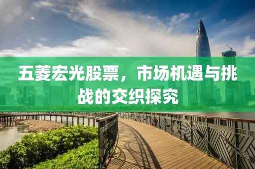 五菱宏光股票，市场机遇与挑战的交织探究
