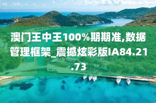 澳门王中王100%期期准,数据管理框架_震撼炫彩版IA84.21.73