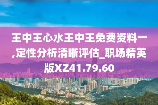 王中王心水王中王免费资料一,定性分析清晰评估_职场精英版XZ41.79.60