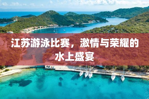 江苏游泳比赛，激情与荣耀的水上盛宴