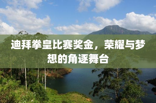 迪拜拳皇比赛奖金，荣耀与梦想的角逐舞台