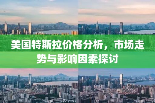 美国特斯拉价格分析，市场走势与影响因素探讨