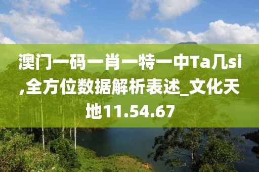 澳门一码一肖一特一中Ta几si,全方位数据解析表述_文化天地11.54.67