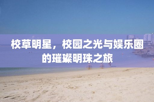 校草明星，校园之光与娱乐圈的璀璨明珠之旅