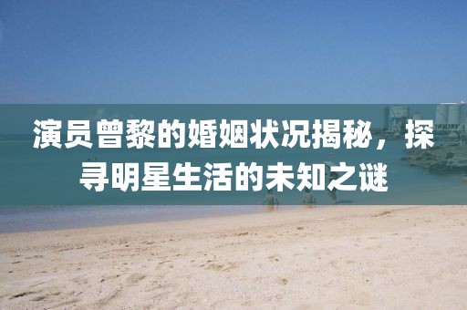 演员曾黎的婚姻状况揭秘，探寻明星生活的未知之谜