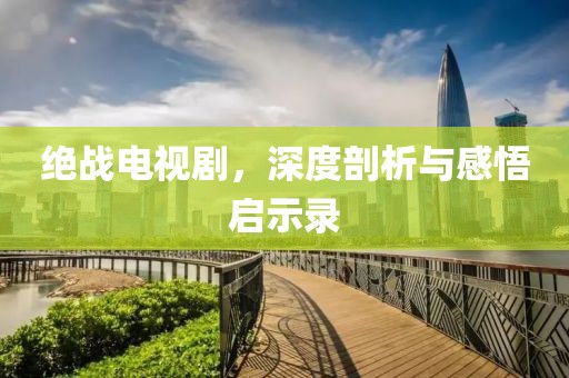 绝战电视剧，深度剖析与感悟启示录