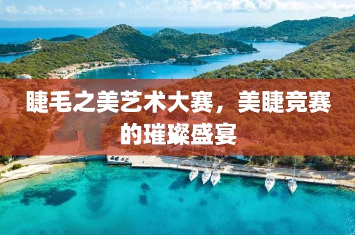睫毛之美艺术大赛，美睫竞赛的璀璨盛宴