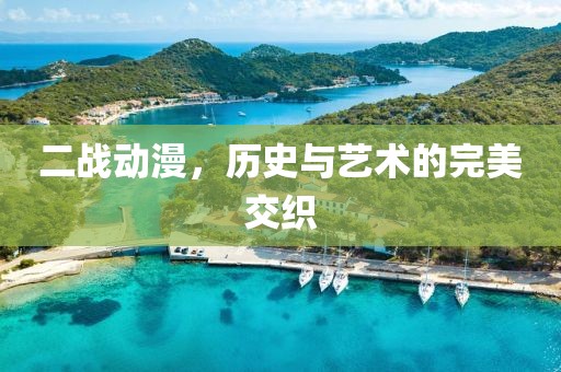 二战动漫，历史与艺术的完美交织
