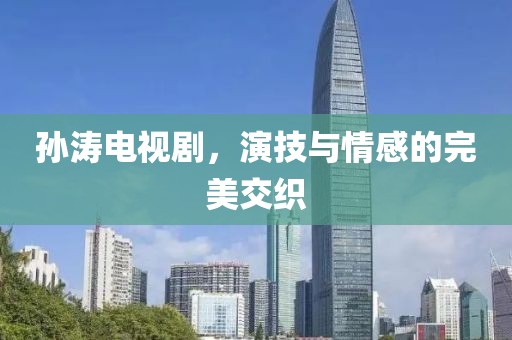 孙涛电视剧，演技与情感的完美交织