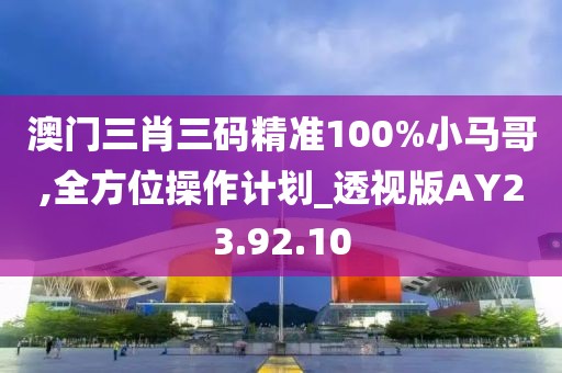 澳门三肖三码精准100%小马哥,全方位操作计划_透视版AY23.92.10