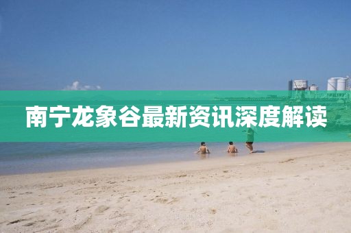 南宁龙象谷最新资讯深度解读