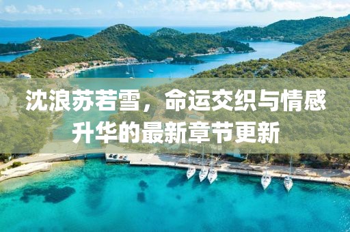 沈浪苏若雪，命运交织与情感升华的最新章节更新