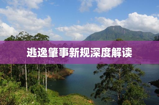 逃逸肇事新规深度解读