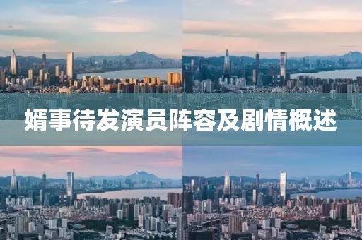 婿事待发演员阵容及剧情概述