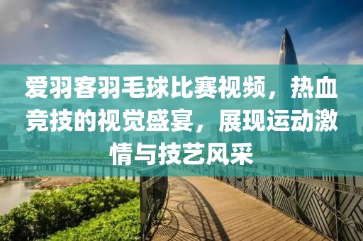 爱羽客羽毛球比赛视频，热血竞技的视觉盛宴，展现运动激情与技艺风采