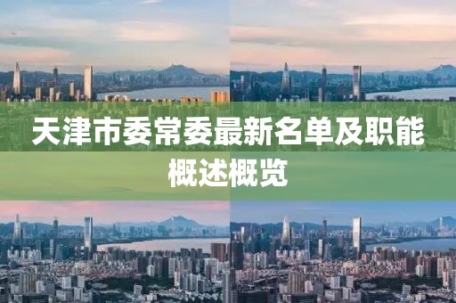 天津市委常委最新名单及职能概述概览
