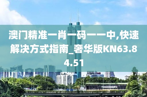 澳门精准一肖一码一一中,快速解决方式指南_奢华版KN63.84.51