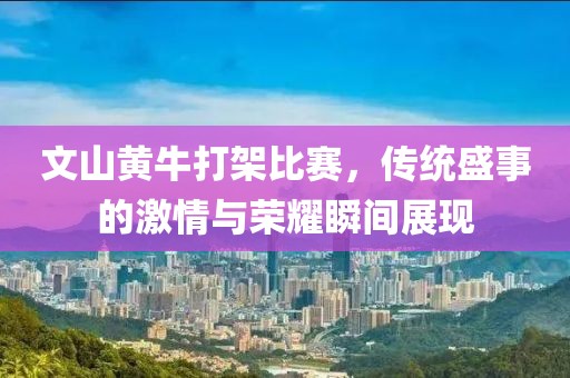 文山黄牛打架比赛，传统盛事的激情与荣耀瞬间展现