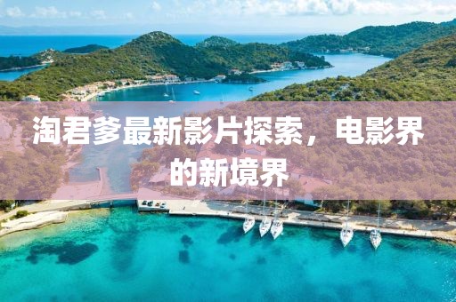 淘君爹最新影片探索，电影界的新境界