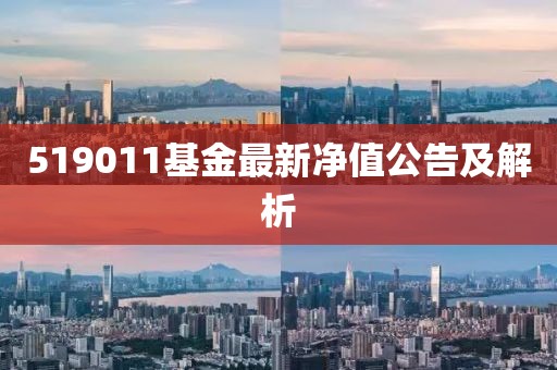 519011基金最新净值公告及解析