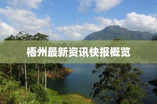梧州最新资讯快报概览
