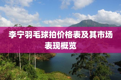 李宁羽毛球拍价格表及其市场表现概览
