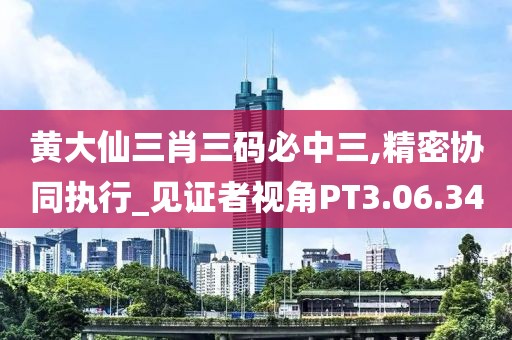 黄大仙三肖三码必中三,精密协同执行_见证者视角PT3.06.34