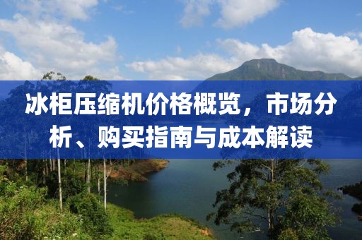 冰柜压缩机价格概览，市场分析、购买指南与成本解读