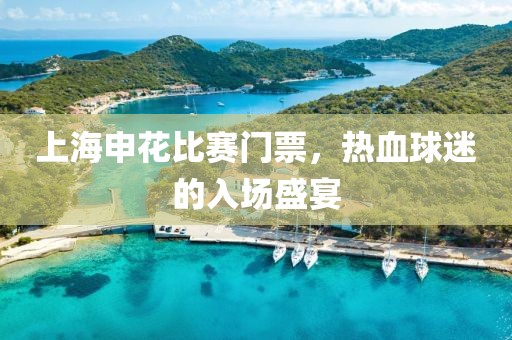 上海申花比赛门票，热血球迷的入场盛宴