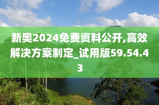 新奥2024免费资料公开,高效解决方案制定_试用版59.54.43