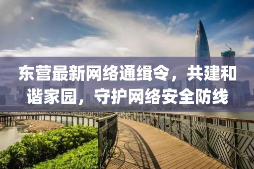 东营最新网络通缉令，共建和谐家园，守护网络安全防线