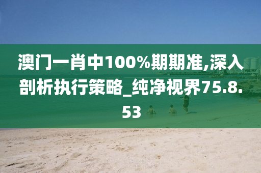 澳门一肖中100%期期准,深入剖析执行策略_纯净视界75.8.53
