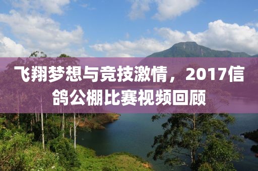 飞翔梦想与竞技激情，2017信鸽公棚比赛视频回顾