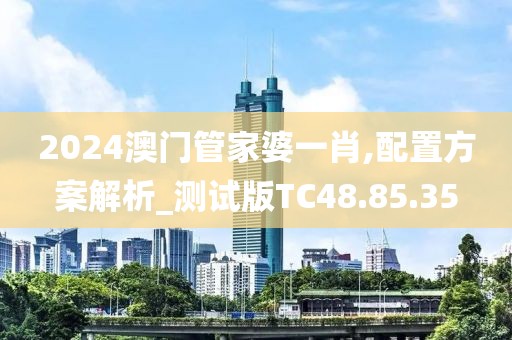 2024澳门管家婆一肖,配置方案解析_测试版TC48.85.35