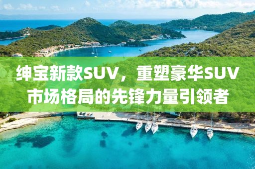 绅宝新款SUV，重塑豪华SUV市场格局的先锋力量引领者