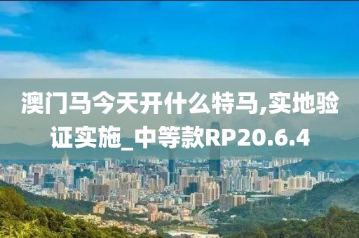 澳门马今天开什么特马,实地验证实施_中等款RP20.6.4