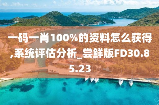 一码一肖100%的资料怎么获得,系统评估分析_尝鲜版FD30.85.23