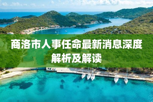商洛市人事任命最新消息深度解析及解读