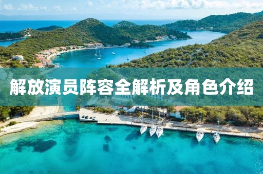 解放演员阵容全解析及角色介绍
