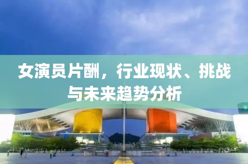 女演员片酬，行业现状、挑战与未来趋势分析