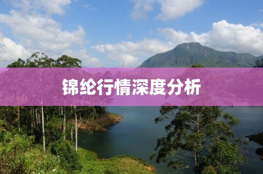 锦纶行情深度分析