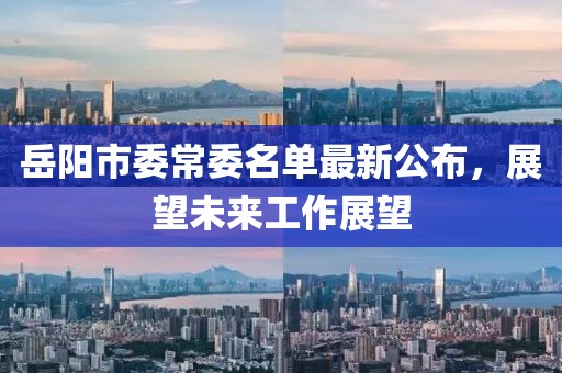 岳阳市委常委名单最新公布，展望未来工作展望
