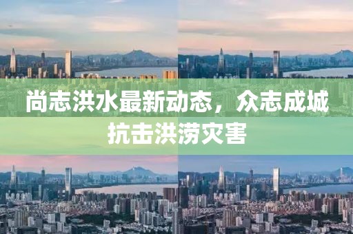 尚志洪水最新动态，众志成城抗击洪涝灾害