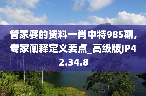 管家婆的资料一肖中特985期,专家阐释定义要点_高级版JP42.34.8