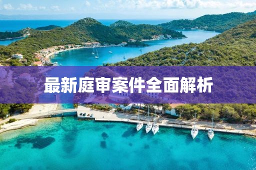 最新庭审案件全面解析
