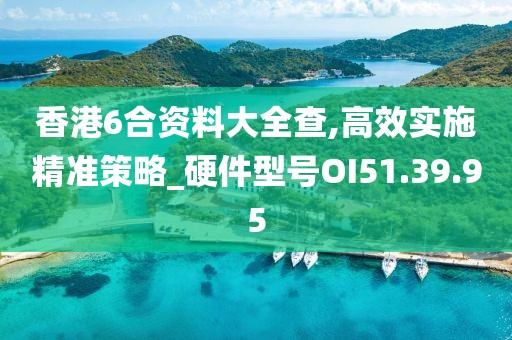 香港6合资料大全查,高效实施精准策略_硬件型号OI51.39.95
